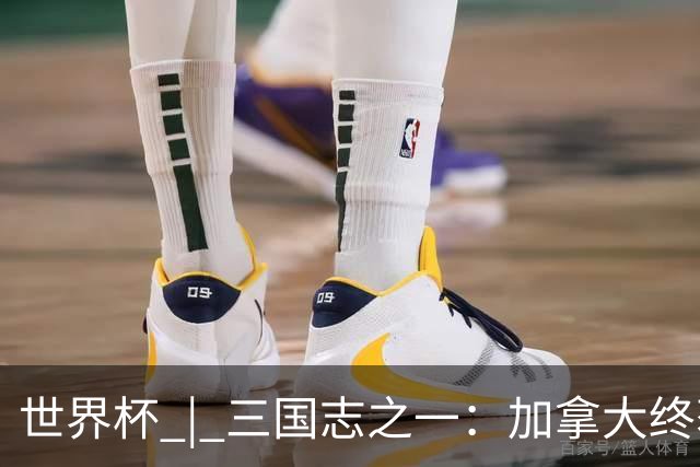 世界杯 | 三国志之一：加拿大终获世界杯首分，突破从何而来？